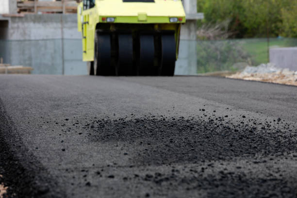 Best Driveway Paving Contractor  in Palmer, AK