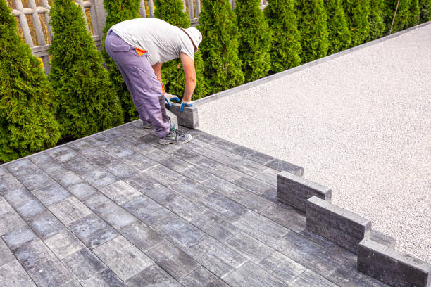 Best Driveway Pavers Cost  in Palmer, AK